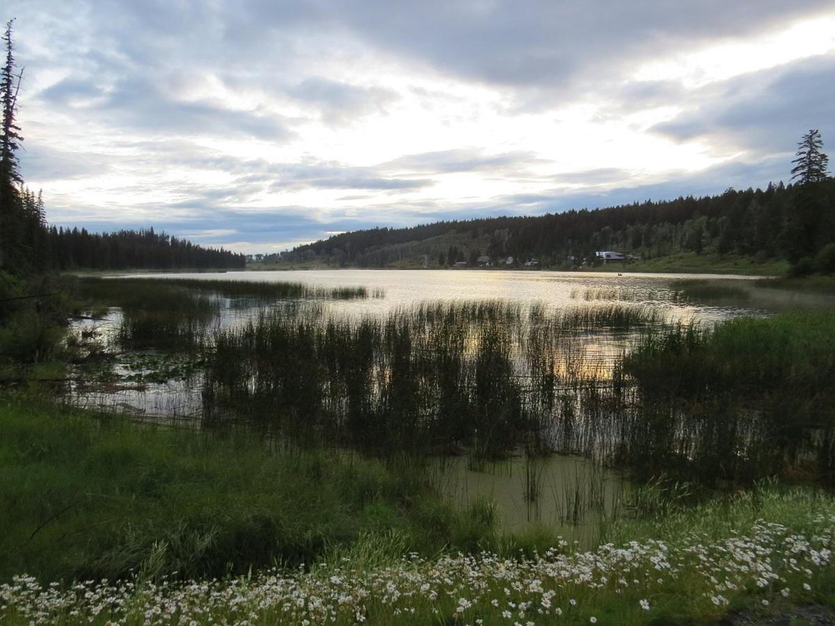 Lac Le Jeune Nature Resort Logan Lake Exteriör bild