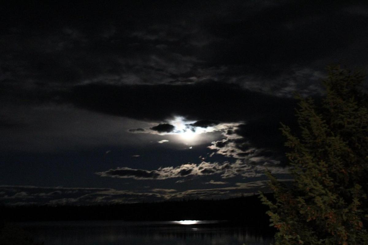 Lac Le Jeune Nature Resort Logan Lake Exteriör bild
