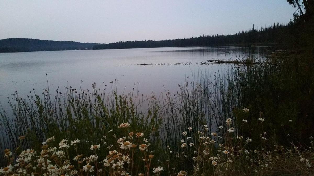 Lac Le Jeune Nature Resort Logan Lake Exteriör bild